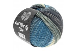Cool Wool Big Color 4006